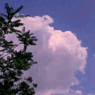 best365官网登录入口截图